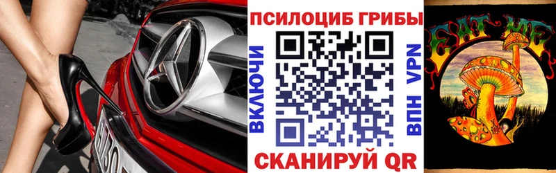 Псилоцибиновые грибы прущие грибы  Купить  Горячеводский 